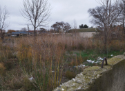 Satılır 51 sot torpaq Sumqayıt