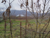 Satılır 24 sot torpaq Şamaxı