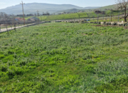 Satılır 3 otaqlı 16 m2 bağ evi Qobustan