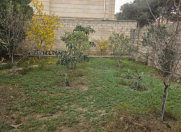 İcarəyə verilir 4 otaqlı 85 m2 həyət evi Bakıxanov