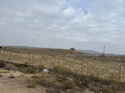 Satılır 386 sot torpaq Qobu