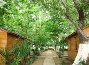 Satılır 50 otaqlı 10000 m2 obyekt Hacıqabul