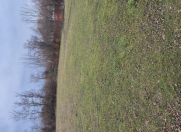 Satılır 60 sot torpaq Qəbələ