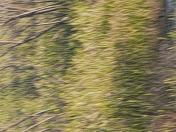 Satılır 6 sot torpaq Y.Suraxanı