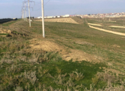 Satılır 200 sot torpaq Saray