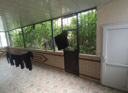 Satılır 5 otaqlı 97 m2 köhnə tikili Köhnə Günəşli