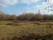 Satılır 12 sot torpaq Qusar