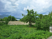 Satılır 4 sot torpaq Qəbələ