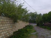 Satılır 24 sot torpaq Qəbələ