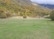 Satılır 200 sot torpaq Oğuz