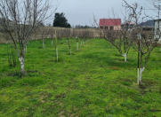 Satılır 3 otaqlı 80 m2 bağ evi Pirşağı