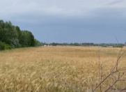 Satılır 150 sot torpaq Şabran