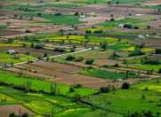 Satılır 6 sot torpaq Şamaxı