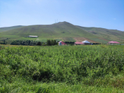 Satılır 20 sot torpaq Gədəbəy