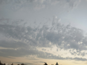 İcarəyə verilir 1 otaqlı 15 m2 ofis Sumqayıt