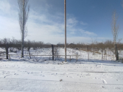 Satılır 10 sot torpaq Xaçmaz