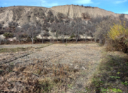 Satılır 6 sot torpaq Qusar