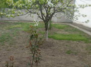 Satılır 3 sot torpaq Xaçmaz