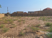 Satılır 8 sot torpaq Novxanı