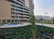 Satılır 3 otaqlı 148 m2 yeni tikili Yasamal r.