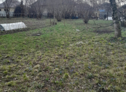 Satılır 8 sot torpaq Qəbələ
