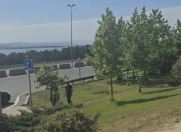 Satılır 30 sot torpaq Saray