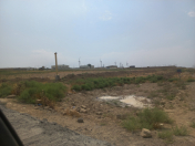 Satılır 10000 sot torpaq Buzovna