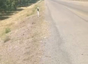 Satılır 1000 sot torpaq Goranboy