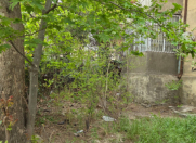 Satılır 2 otaqlı 50 m2 köhnə tikili Bakı Dövlət Universiteti