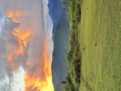 Satılır 25 sot torpaq Qəbələ