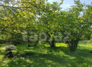 Satılır 4 sot torpaq Qəbələ