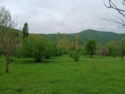 Satılır 102 sot torpaq Qəbələ