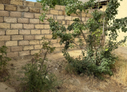 Satılır 5 otaqlı 275 m2 yeni tikili Sumqayıt