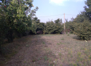 Satılır 10 sot torpaq Qəbələ