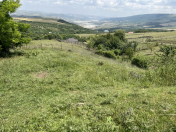 Satılır 12 sot torpaq Şamaxı