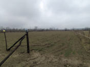 Satılır 38 sot torpaq Qusar