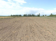 Satılır 3 sot torpaq Şəki