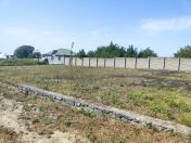 Satılır 12 sot torpaq Şəki