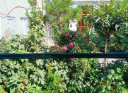 İcarəyə verilir 3 otaqlı 90 m2 həyət evi Flame Towers