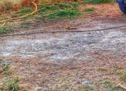 Satılır 6 sot torpaq Lənkəran