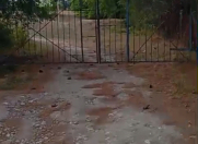 Satılır 50020 sot torpaq Şabran