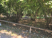 Satılır 5 otaqlı 37 m2 həyət evi Oğuz