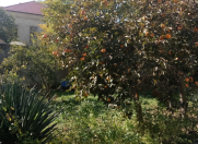 Satılır 4 otaqlı 1200 m2 həyət evi Həzi Aslanov