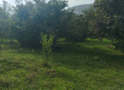 Satılır 20 sot torpaq Qax