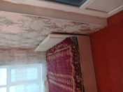 İcarəyə verilir 1 otaqlı 36 m2 köhnə tikili Köhnə Günəşli