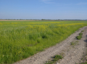 Satılır 20200 sot torpaq Xaçmaz