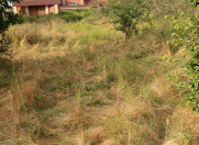 Satılır 8 sot torpaq Quba