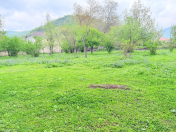 Satılır 15 sot torpaq Qəbələ