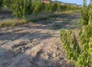 Satılır 100 sot torpaq Xaçmaz