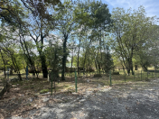 Satılır 77 sot torpaq Qəbələ